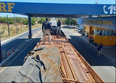 Carga ilegal de madeira