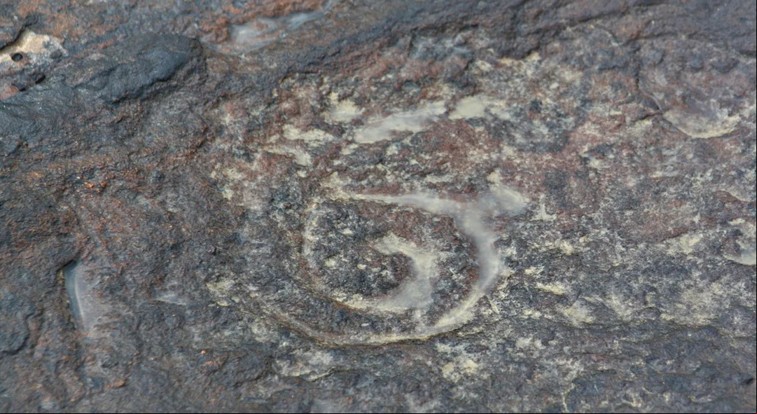 Gravura rupestre