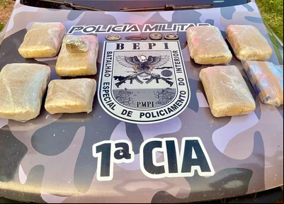 Grande quantidade de droga apreendida