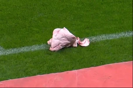 Cabeça de porco arremessada durante Corinthians x Palmeiras